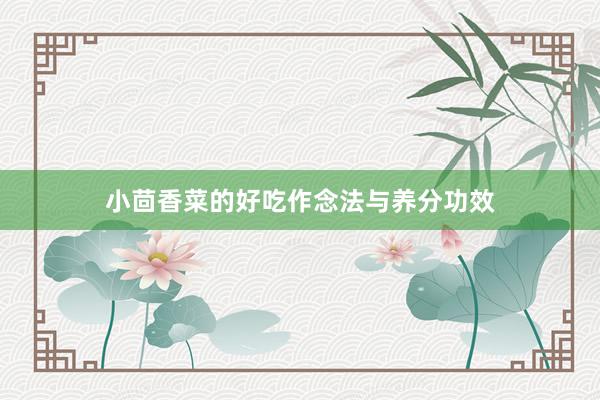 小茴香菜的好吃作念法与养分功效