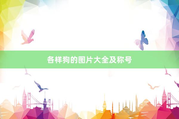 各样狗的图片大全及称号