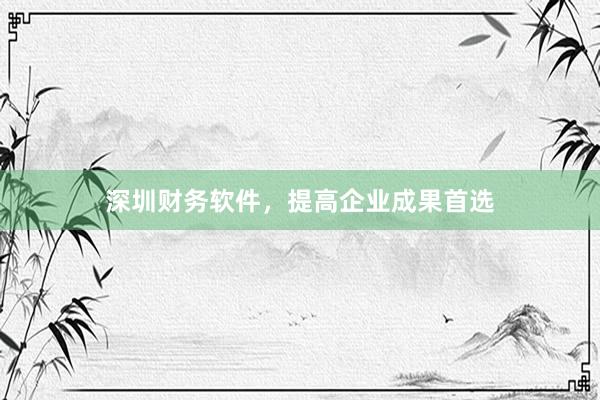 深圳财务软件，提高企业成果首选