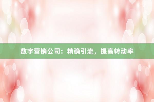 数字营销公司：精确引流，提高转动率